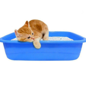 PawComfort  Kittens
 Litter Tray