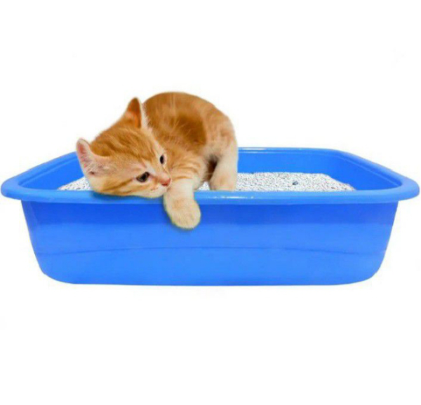 PawComfort  Kittens
 Litter Tray